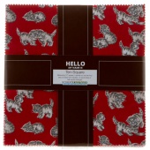 I Spy Animals Ten Squares