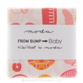 From Bump to Baby Mini Charm Pack