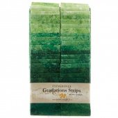 Stonehenge Gradations Brights - Rainforest Strips