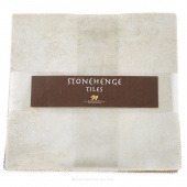 Stonehenge - Light Neutrals Stone Tiles