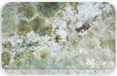 Stonehenge - Ginko Metallic Yardage